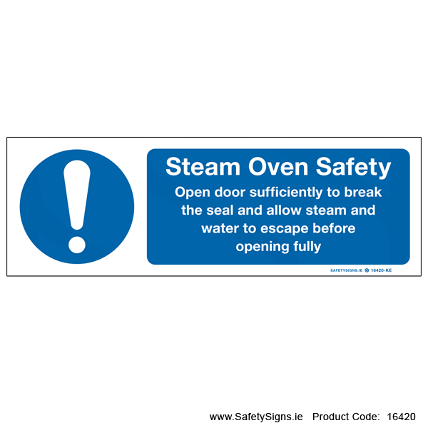 Steam Oven - 16420