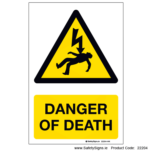 Danger of Death - 22204