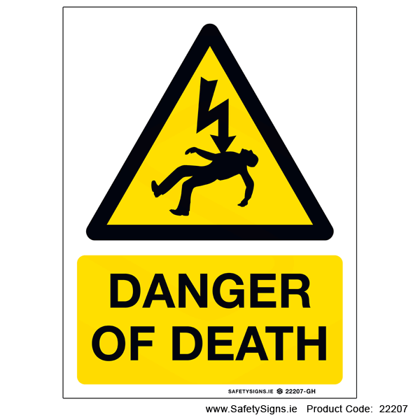 Danger of Death - 22207