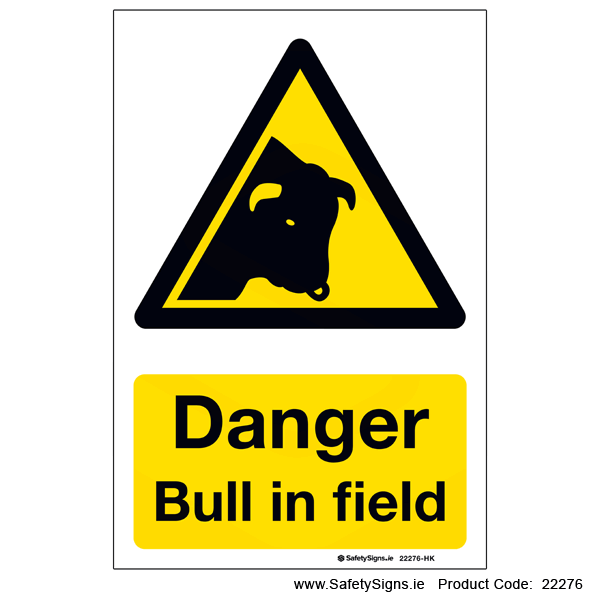 Bull in Field - 22276