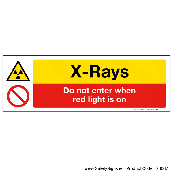 X-Rays - 28067