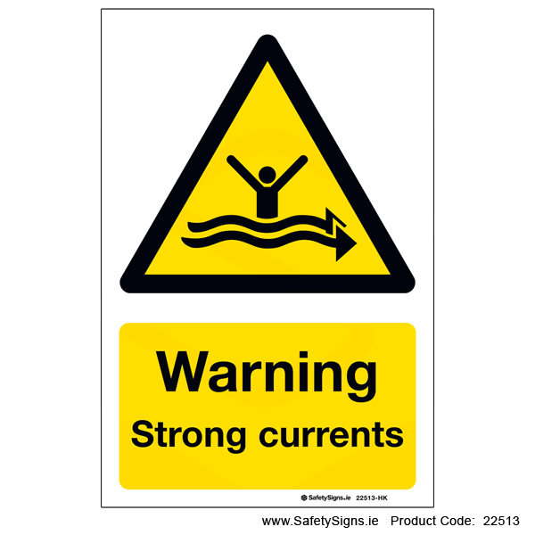 Strong Currents - 22513