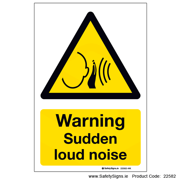 Sudden Loud Noise - 22582