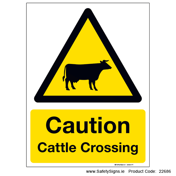 Cattle Crossing - 22686