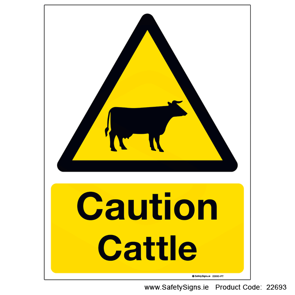 Cattle - 22693