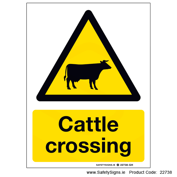 Cattle Crossing - 22738